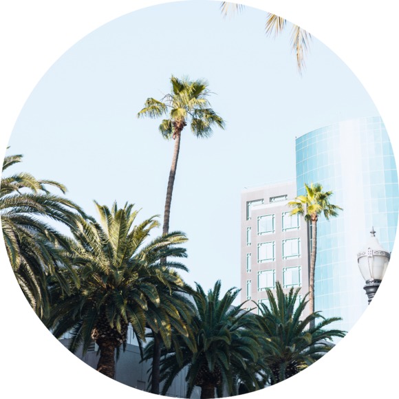 Meet your Posher, Sidney - Picture 1 of 1